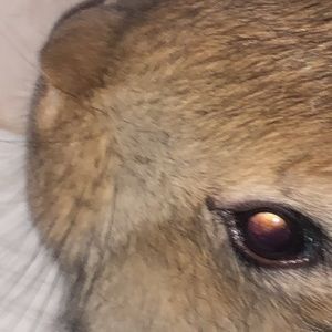 Meet your Posher, Yocelyn